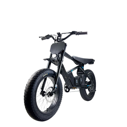 STACYC 20HDRIVE Class 2