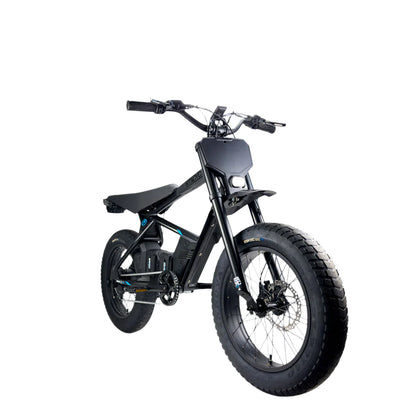 STACYC 20HDRIVE Class 2