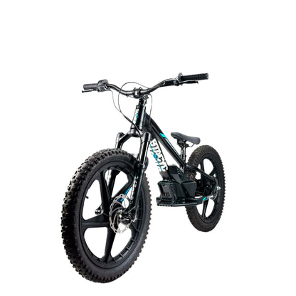 STACYC 20eDRIVE Electric Stability Cycle