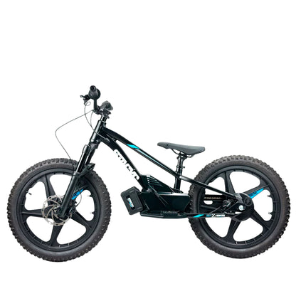 STACYC 20eDRIVE Electric Stability Cycle