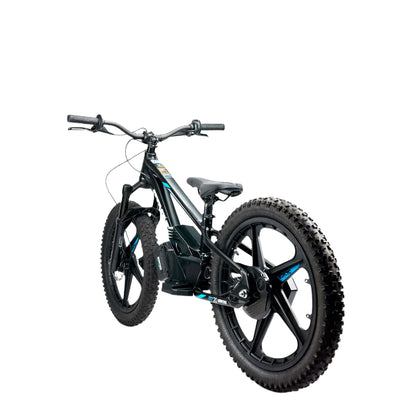 STACYC 20eDRIVE Electric Stability Cycle