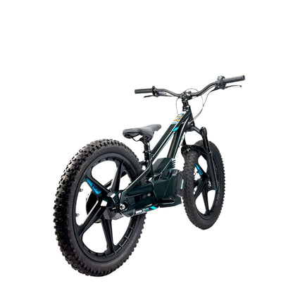 STACYC 20eDRIVE Electric Stability Cycle