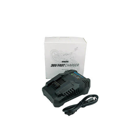 STACYC 36V Fast Battery Charger